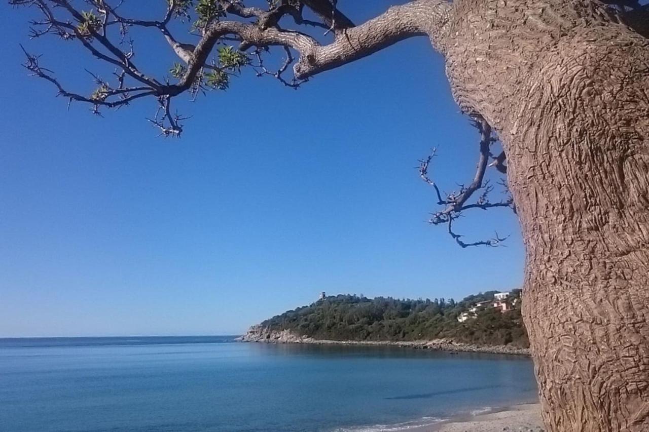 Un Po Di Relax A Pochi Passi Dal Mare! Apartment Àrbatax Екстериор снимка